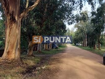 https://www.gallito.com.uy/buen-lote-en-venta-en-la-barra-el-tesoro-inmuebles-27609701