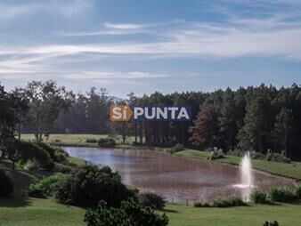 https://web5.gallito.com.uy/lote-en-venta-veramansa-inmuebles-27609841