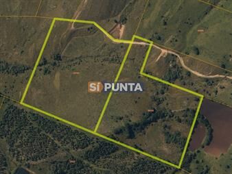 https://www.gallito.com.uy/venta-2-chacras-juntas-en-pueblo-eden-inmuebles-27609896