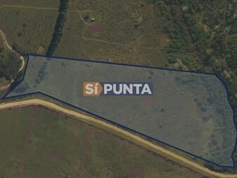 https://www.gallito.com.uy/venta-chacra-5-6-ha-pan-de-azucar-maldonado-inmuebles-27609897