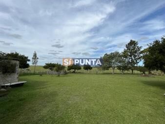 https://www.gallito.com.uy/chacra-corte-la-leña-venta-inmuebles-27609922
