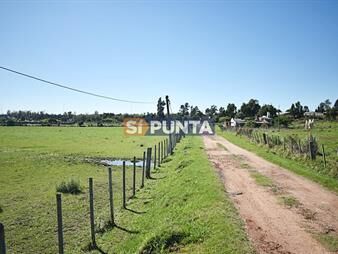 https://web5.gallito.com.uy/chacra-san-carlos-ruta-9-inmuebles-27609964