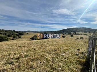 https://web5.gallito.com.uy/chacra-de-5-has-en-venta-inmuebles-27610004
