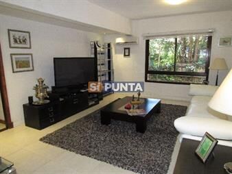 https://web5.gallito.com.uy/apartamento-en-alquiler-anual-inmuebles-27610161