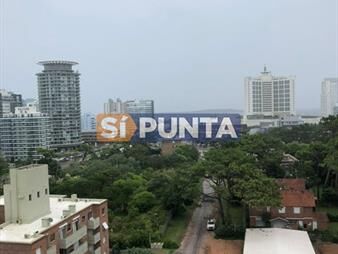 https://web5.gallito.com.uy/vende-apartamento-de-1-dormitorio-en-punta-del-inmuebles-27610291
