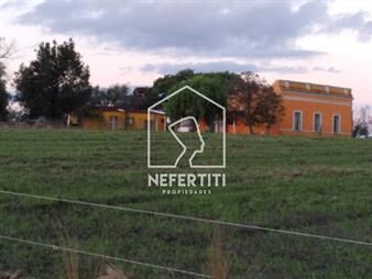 https://www.gallito.com.uy/venta-chacra-en-tala-canelones-inmuebles-27616520