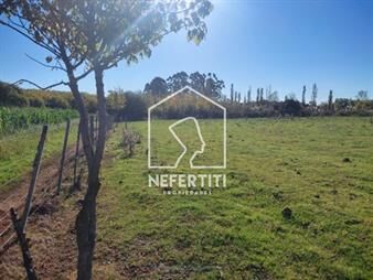https://www.gallito.com.uy/venta-chacra-4-5-ha-en-paraje-las-violetas-inmuebles-27616523