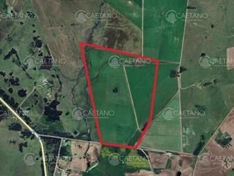 https://www.gallito.com.uy/venta-terreno-42-hectareas-maldonado-inmuebles-25851956