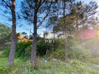 https://web5.gallito.com.uy/lote-en-tio-tom-punta-ballena-ref-pbi2757-inmuebles-23065864