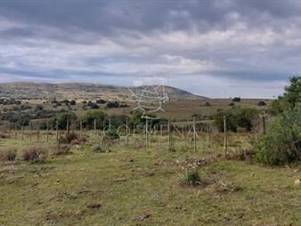 https://web5.gallito.com.uy/campo-en-carape-son-42-hs-2293-m2-muy-lindo-campo-inmuebles-23920435