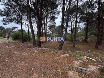 https://www.gallito.com.uy/terreno-en-venta-laguna-escondida-jose-ignacio-inmuebles-27620030