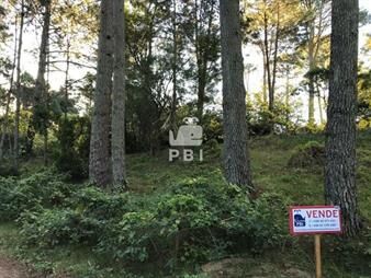 https://www.gallito.com.uy/terreno-en-venta-portezuelo-bosque-ref-inmuebles-27620064
