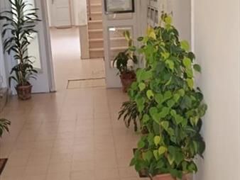 https://web5.gallito.com.uy/apartamento-en-venta-con-renta-2-dormitorios-1-inmuebles-23108003