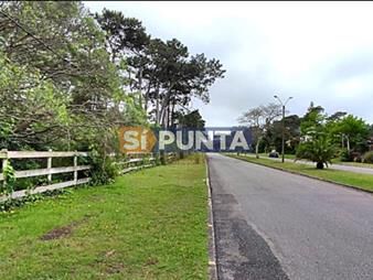 https://web5.gallito.com.uy/terreno-en-venta-mansa-3092-mt2-inmuebles-27625309