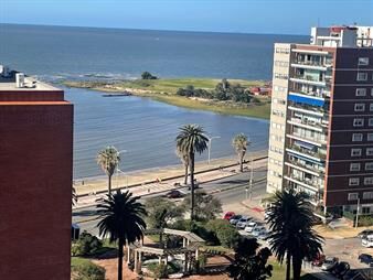 https://web5.gallito.com.uy/dueño-alquiler-mono-pocitos-prox-rambla-pza-gomensoro-inmuebles-27518521
