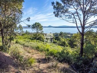 https://www.gallito.com.uy/terreno-en-venta-en-las-cumbres-punta-ballena-inmuebles-27607205