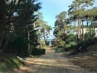 https://web5.gallito.com.uy/terreno-en-montoya-en-venta-a-pocas-cuadras-del-inmuebles-23353262