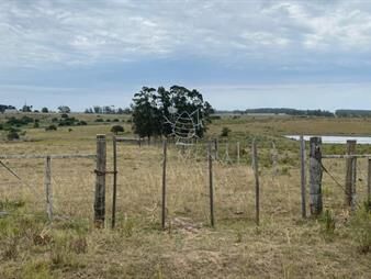 https://www.gallito.com.uy/campo-ganadero-agricola-inmuebles-27503460
