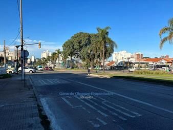 https://web5.gallito.com.uy/venta-monoambiente-sobre-av-italia-con-todo-los-servici-inmuebles-24134554