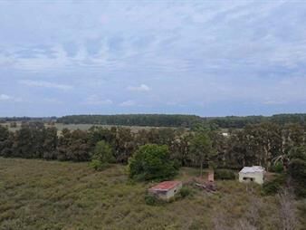 https://www.gallito.com.uy/chacra-en-venta-los-cerrillos-parador-tajes-inmuebles-26911354