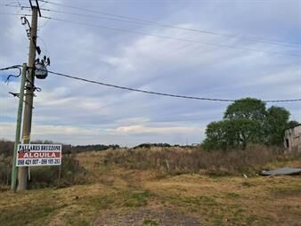 https://www.gallito.com.uy/chacra-sobre-ruta-5-progreso-km-28-inmuebles-27170188