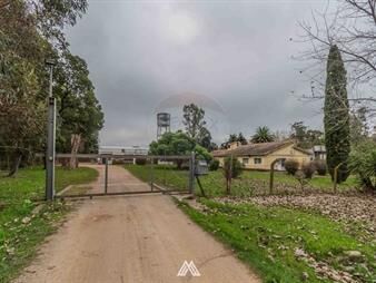 https://www.gallito.com.uy/alquiler-sobre-ruta-8-oficinas-y-gran-predio-inmuebles-27124440
