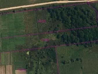 https://www.gallito.com.uy/venta-campo-de-2ha-3887-m²-a-1-cuadra-de-ruta-75-inmuebles-25640437