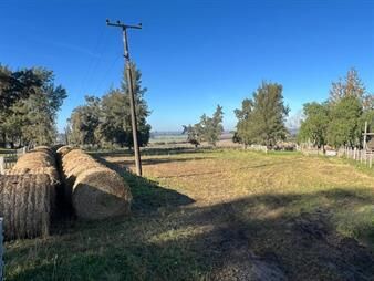 https://www.gallito.com.uy/venta-de-campo-6has-sobre-ruta-11-km-146-inmuebles-27485522