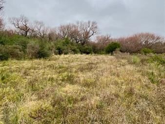 https://www.gallito.com.uy/venta-campo-19-has-sobre-arroyo-sarandi-costa-azul-inmuebles-27552758