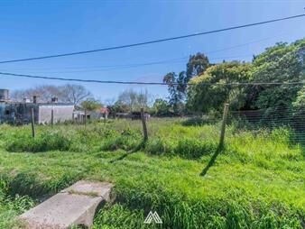 https://www.gallito.com.uy/venta-de-terreno-centrico-en-empalme-olmos-inmuebles-27564874