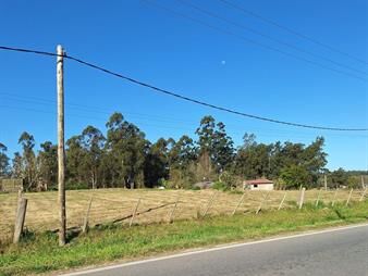 https://www.gallito.com.uy/venta-de-terreno-5500m²-sobre-ruta-34-km-40-inmuebles-26052295