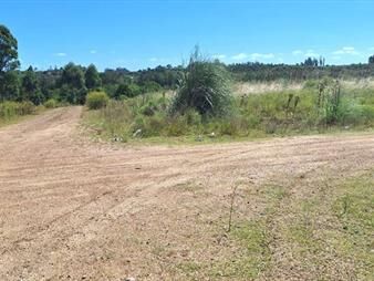 https://www.gallito.com.uy/venta-de-terreno-con-401m²-en-pando-inmuebles-26809358