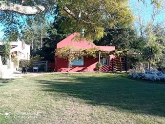 https://www.gallito.com.uy/venta-chacra-de-11-haruta-7-km46-800-san-jacinto-inmuebles-27036913