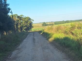 https://www.gallito.com.uy/venta-chacra-de-3-5ha-ruta-8-km42-empalme-olmos-inmuebles-27050778