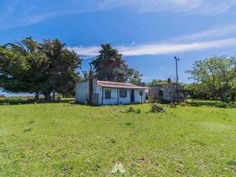 https://www.gallito.com.uy/venta-de-chacra-de-5ha-ruta-7-km-61-piedra-sola-inmuebles-26143858