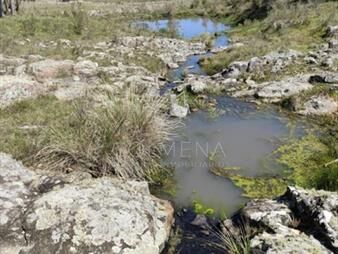https://www.gallito.com.uy/campo-5-has-en-partido-norte-a-38-km-de-punta-del-inmuebles-26830730