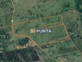 https://www.gallito.com.uy/campo-en-venta-ruta-12-inmuebles-27608695