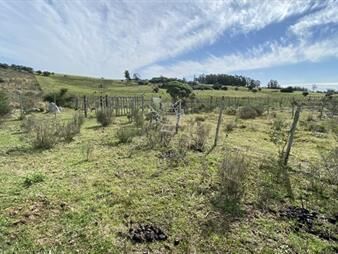 https://web5.gallito.com.uy/chacras-de-5-has-en-paraje-las-cañas-inmuebles-22909626