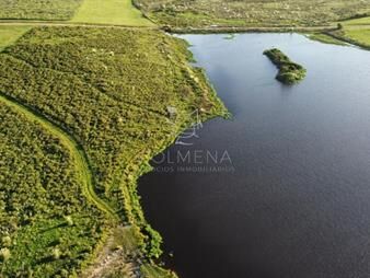 https://web5.gallito.com.uy/campo-con-300-m-de-frente-a-laguna-cuenta-con-inmuebles-23536150