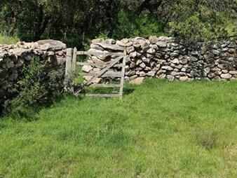 https://www.gallito.com.uy/campo-77-has-4940-m2-cerca-ruta-39-inmuebles-22909955
