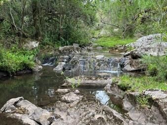 https://web5.gallito.com.uy/campo-en-carape-con-hermosa-cañada-inmuebles-23094717