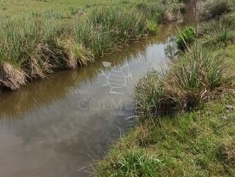 https://web5.gallito.com.uy/campo-en-paraje-jose-ignacio-cerca-de-la-ruta-9-inmuebles-27392200