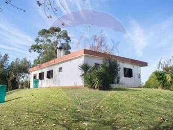 https://www.gallito.com.uy/alquiler-campo-con-casa-en-rincon-de-pando-inmuebles-27547975