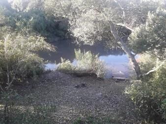 https://web5.gallito.com.uy/chacra-de-4000-m2-con-costa-de-arroyo-y-monte-inmuebles-22909999