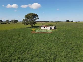 https://www.gallito.com.uy/chacra-de-54-has-en-los-cerrillos-construccion-inmuebles-27079824
