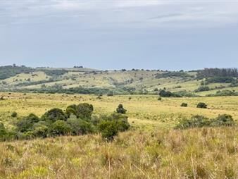 https://www.gallito.com.uy/campo-26-has-sobre-camino-los-molles-inmuebles-26598527