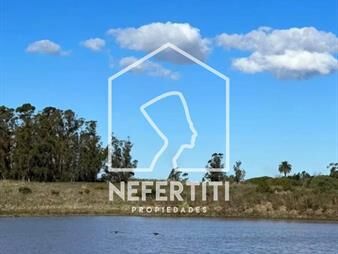 https://www.gallito.com.uy/venta-campo-26-hectareas-en-paso-del-medio-inmuebles-24614716