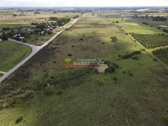 https://www.gallito.com.uy/progreso-chacra-de-3-has-cañada-tajamar-2-inmuebles-27337151