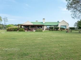 https://web5.gallito.com.uy/chacra-en-punta-ballena-inmuebles-27642238