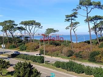 https://web5.gallito.com.uy/apartamento-en-venta-en-edificio-primea-linea-de-inmuebles-27510380